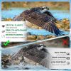 20x50 High Powered Binoculars for Adults, Waterproof Compact Binoculars with Low Light Vision for Bird Watching Hunting Football Games Travel Stargazi