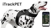 Broad GPS GSM Coverage Wireless Pet Tracking Collars for Hunting Dogs Size:XXL